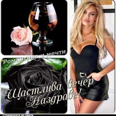 Къща За Гости "Черната Роза" Bŭlgarevo المظهر الخارجي الصورة